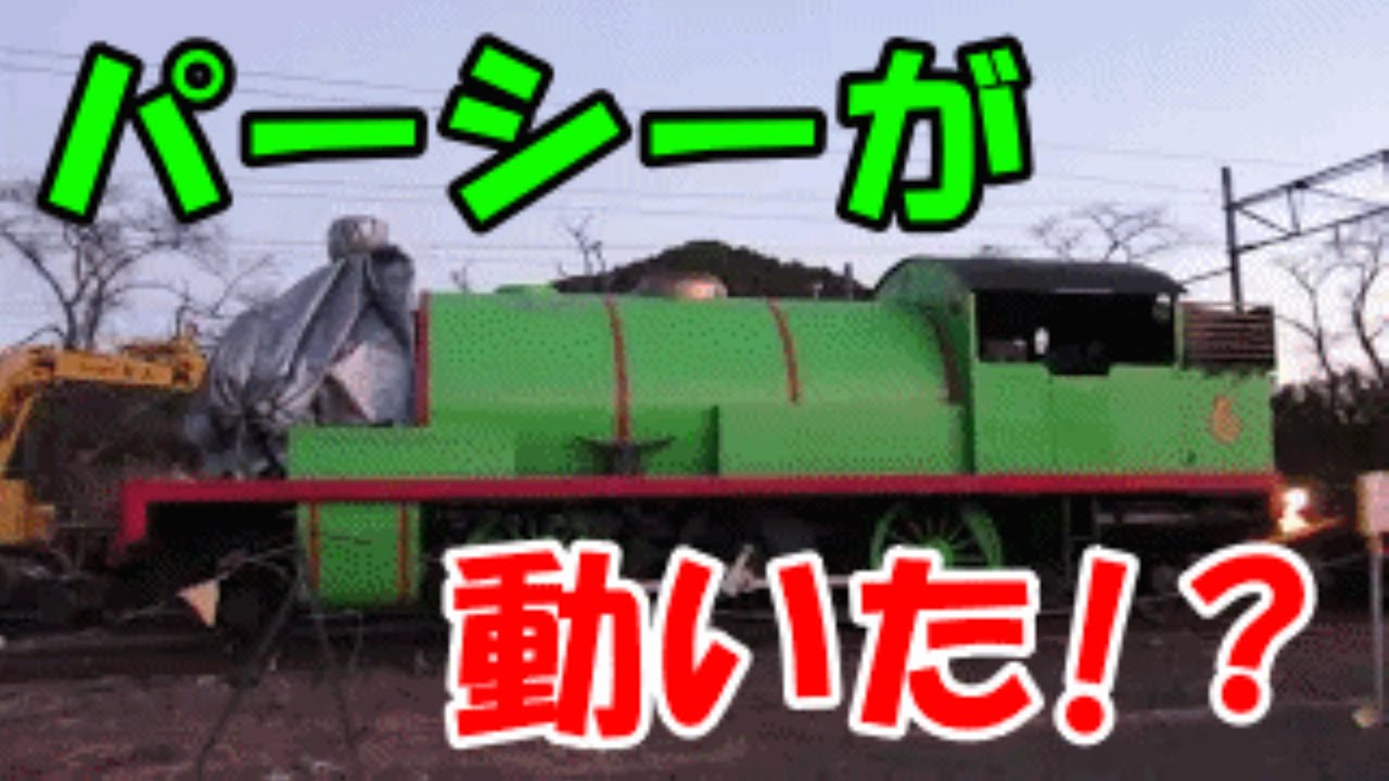驚き！パーシーが家山にやってきてその後すごいことが起きた!!