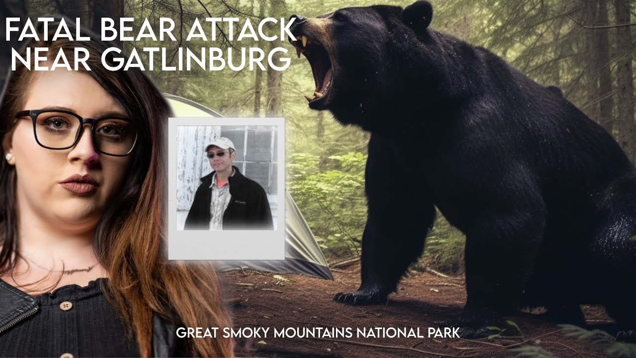 Large Bear Kills Man Near Gatlinburg, TN | Great Smoky Mountains National Park Bear Attack