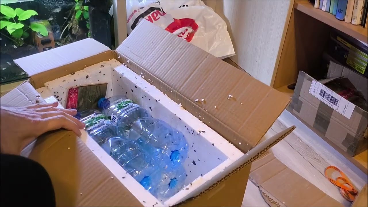 Wysyłka ryb. Tak to robię.