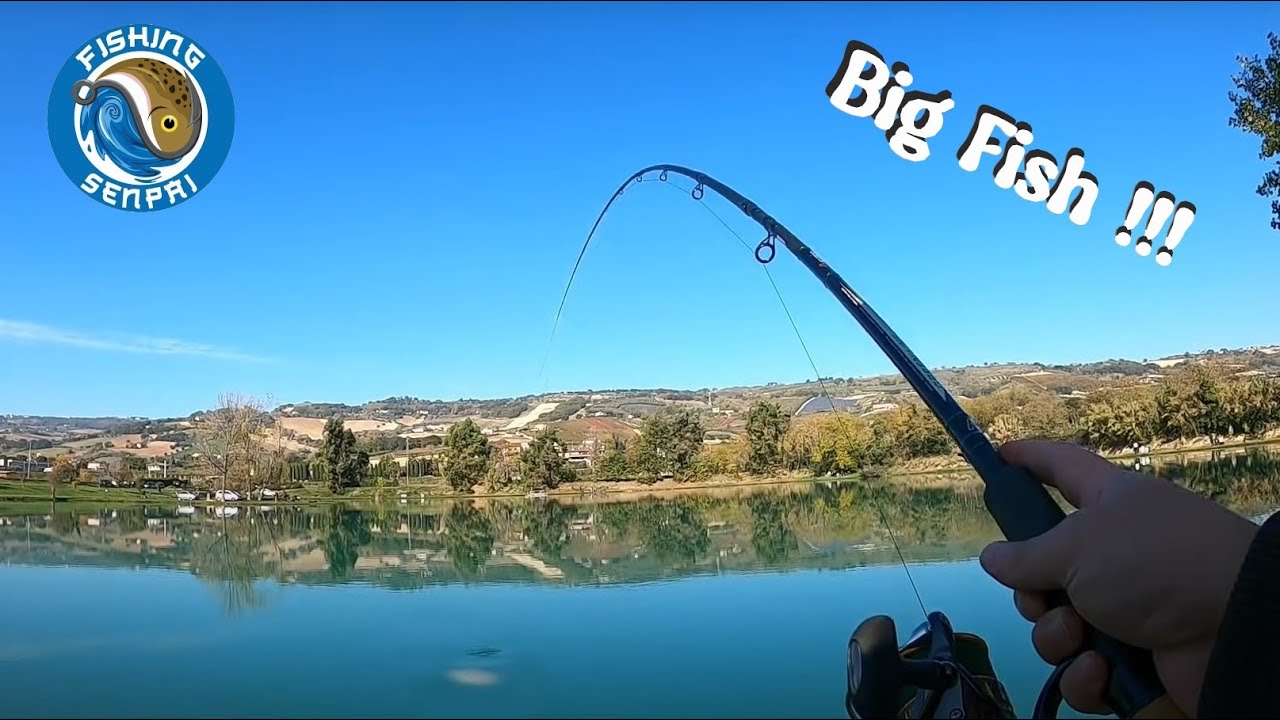 Pesca a Feeder! Grosse Carpe Autunnali e un....P&ograve; di Tecnica!