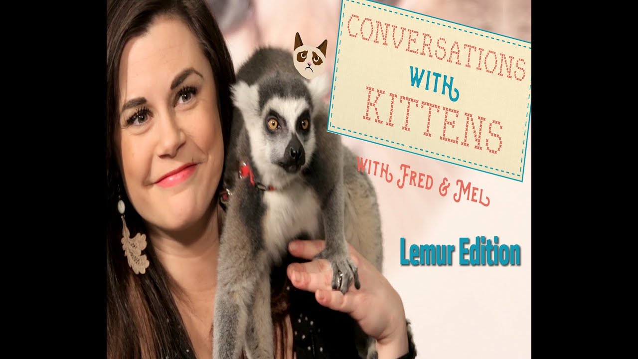 Conversations With Kittens - Lemurs