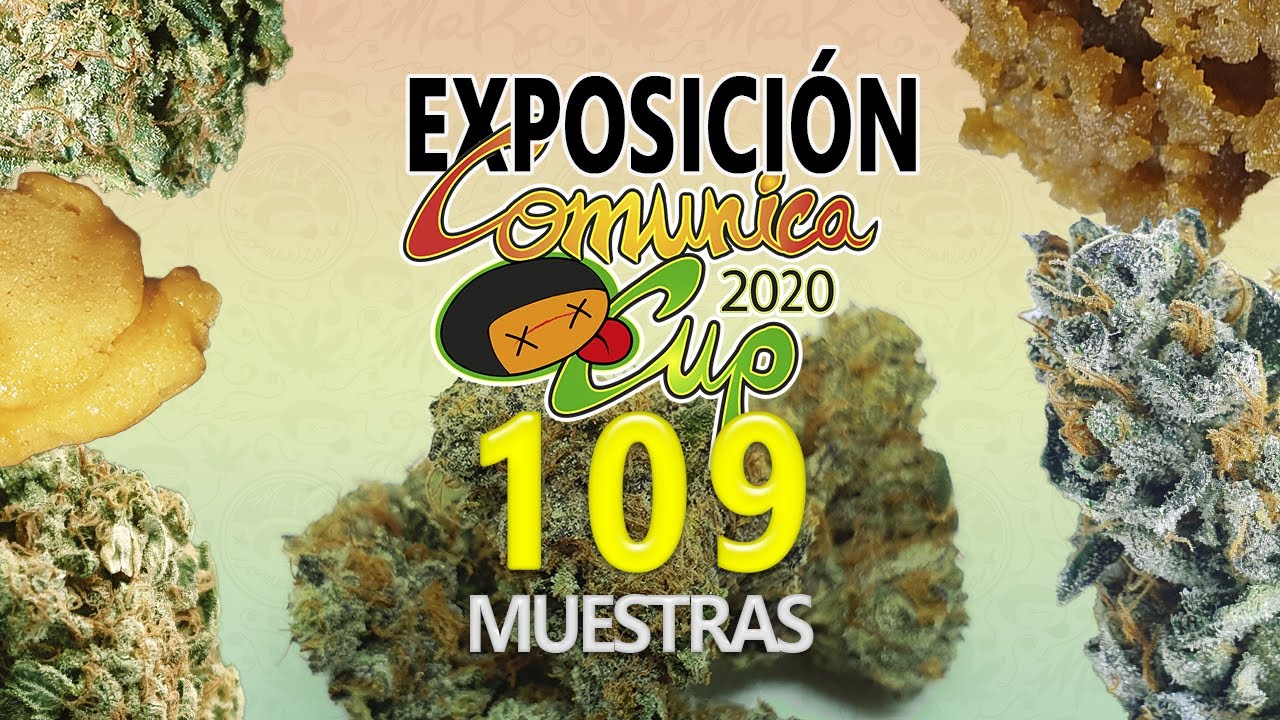 ESPECTACULAR EXPOSICI&Oacute;N 109 MUESTRAS COMUNICA CUP 2020