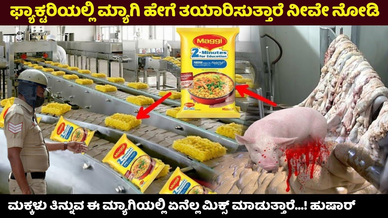 ಮಕ್ಕಳು ಮ್ಯಾಗಿಯನ್ನ ಯಾಕೆ ತುಂಬಾ ಇಷ್ಟಪಡುತ್ತಾರೆ? ಭಾರತದಲ್ಲಿ ಮ್ಯಾಗಿ ಬ್ಯಾನ್ ಆಗಿದ್ದು ಯಾಕೆ? Fact Maggie | Modi