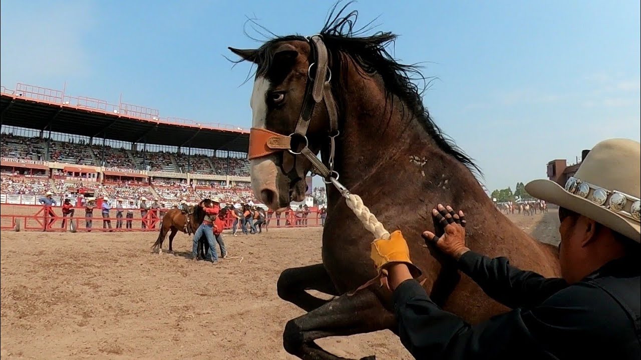 Wild Horse Race Cheyenne Frontier Days 2021