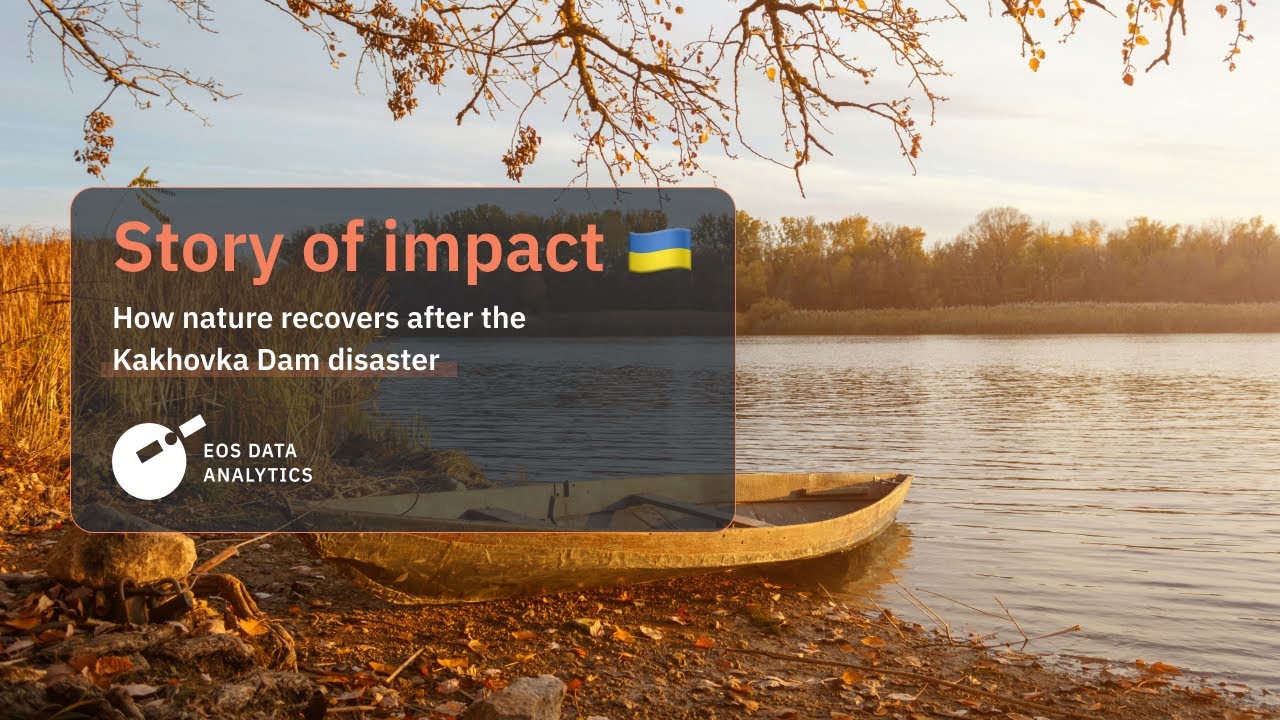 How nature recovers after the Kakhovka Dam disaster