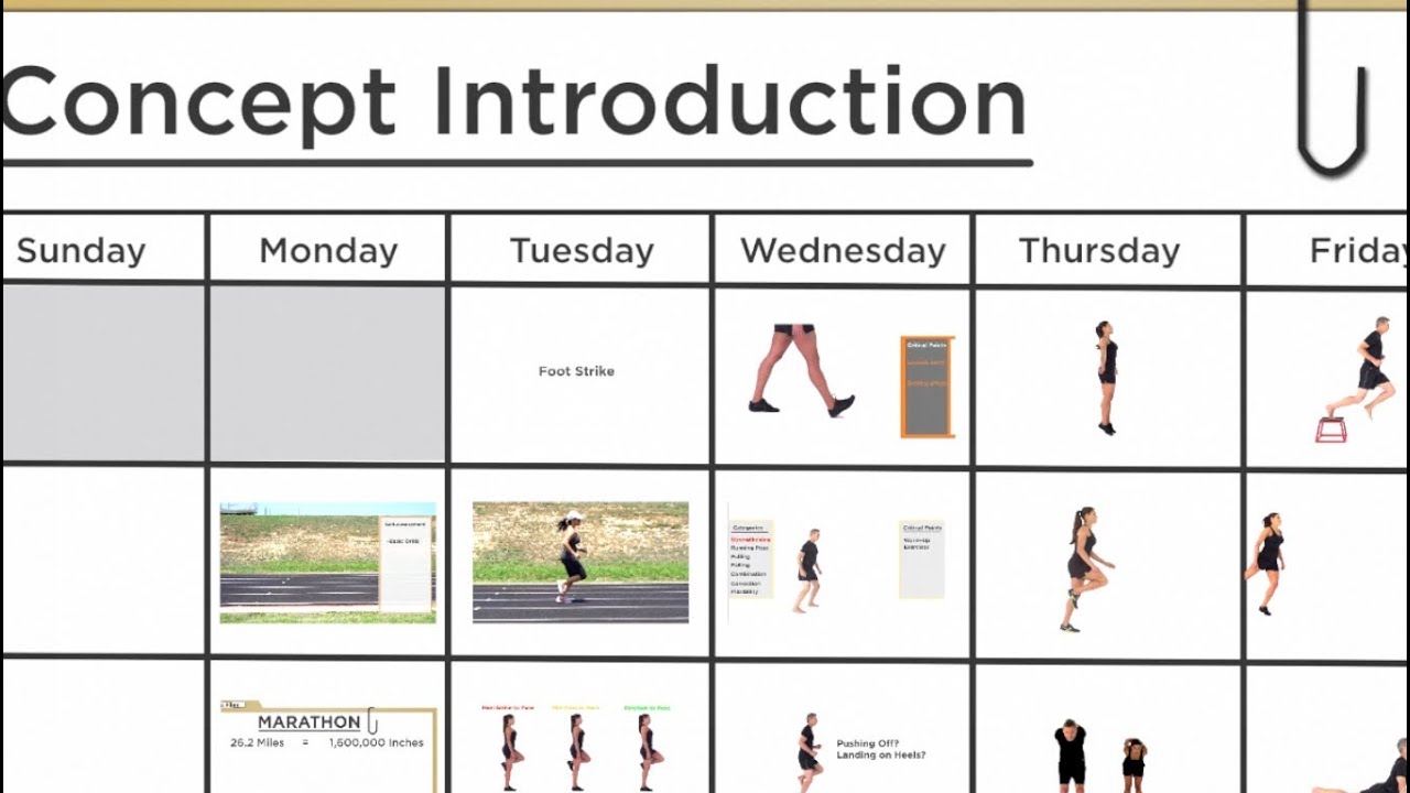 Transition Program Overview
