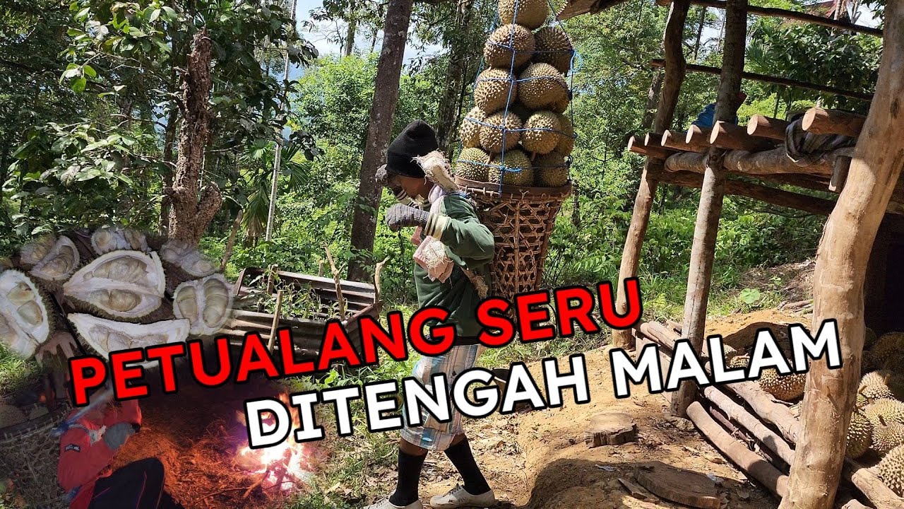 BERMALAM DI HUTAN MENUNGGU DUREN