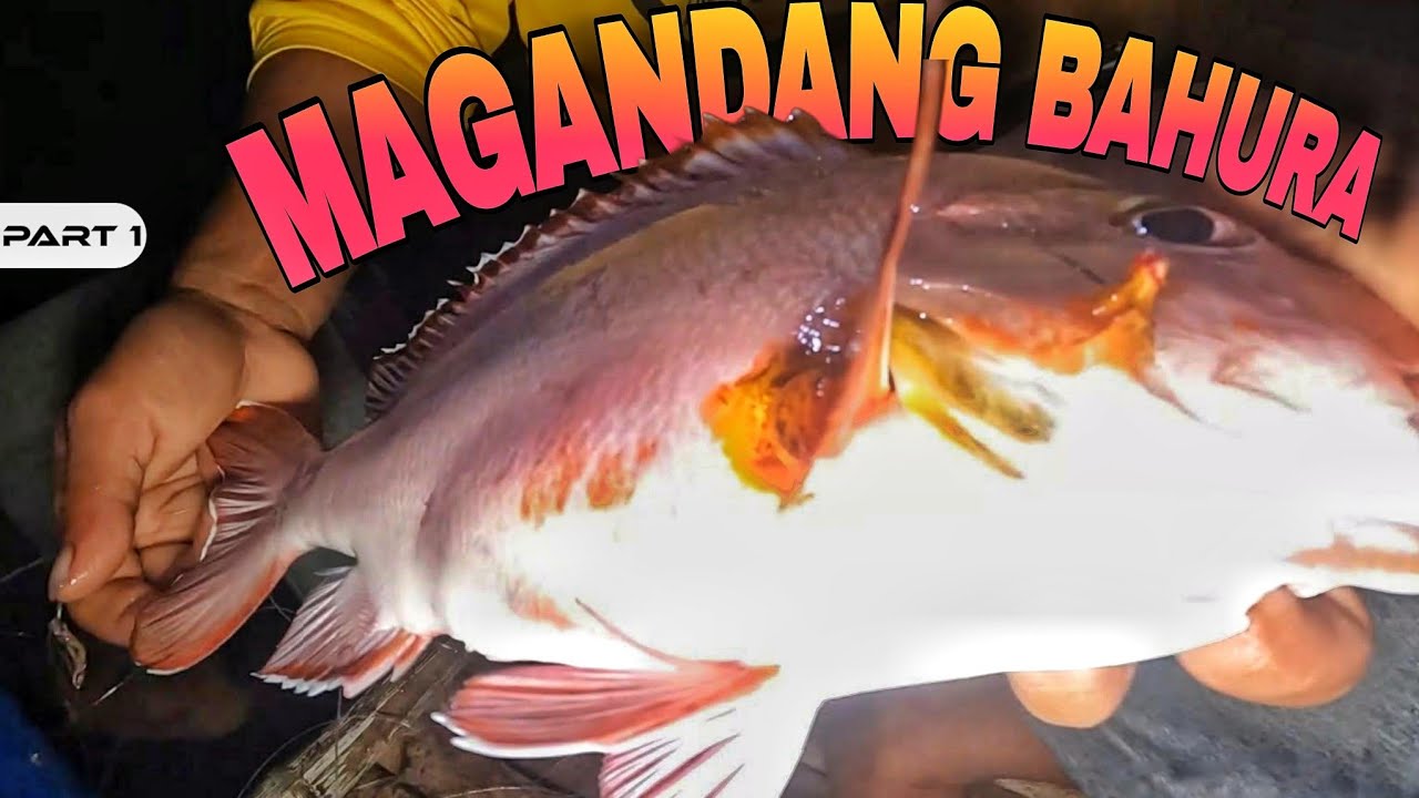P1 - Magandang Bahura