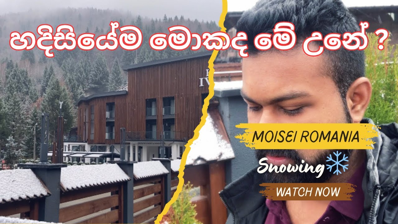 රුමේනියාවෙ පළමු හිම අත්දැකීම 2025 ❄️🥹 | Romania snow | First snowfall Sinhala