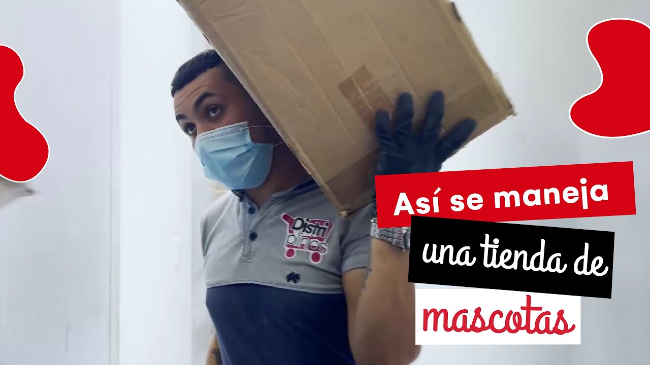 Cómo funciona una tienda - Así se vende en una Pet Shop