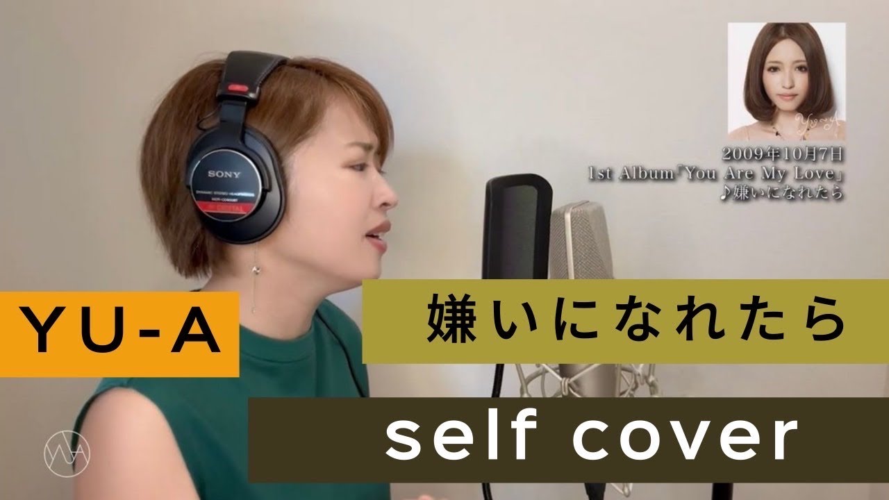 (一発録り)嫌いになれたら-Self cover-