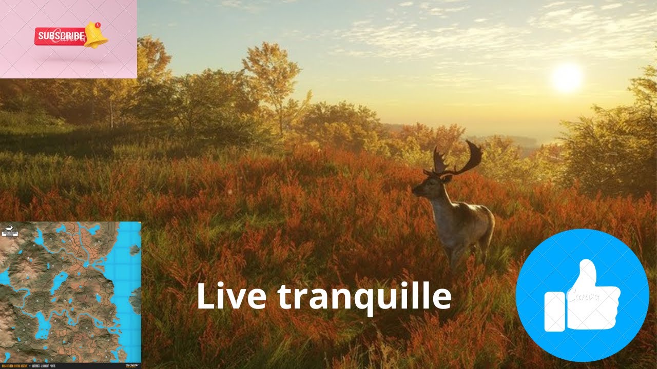 Live traduction the hunter call of the wild