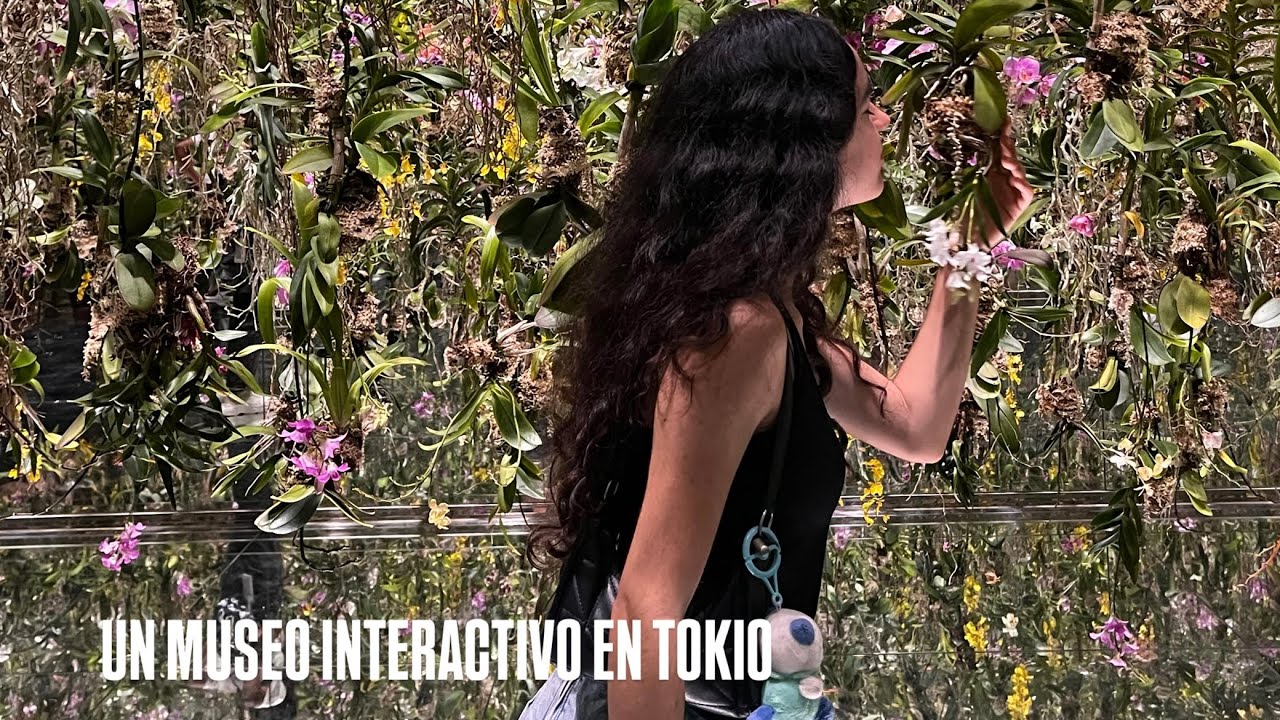 Ultimo DIA en JAPON / #vlog12