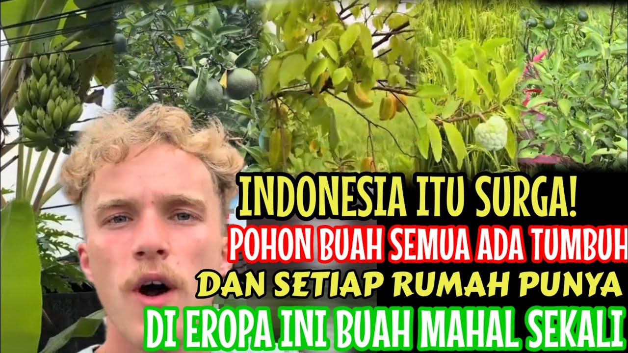 Bule Speechless Di Indonesia Tiap Rumah Punya Pohon Berbuah