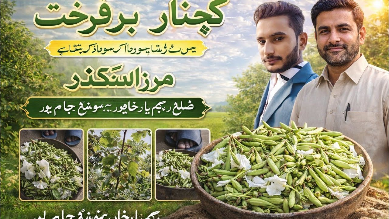 Mirzaskindar
