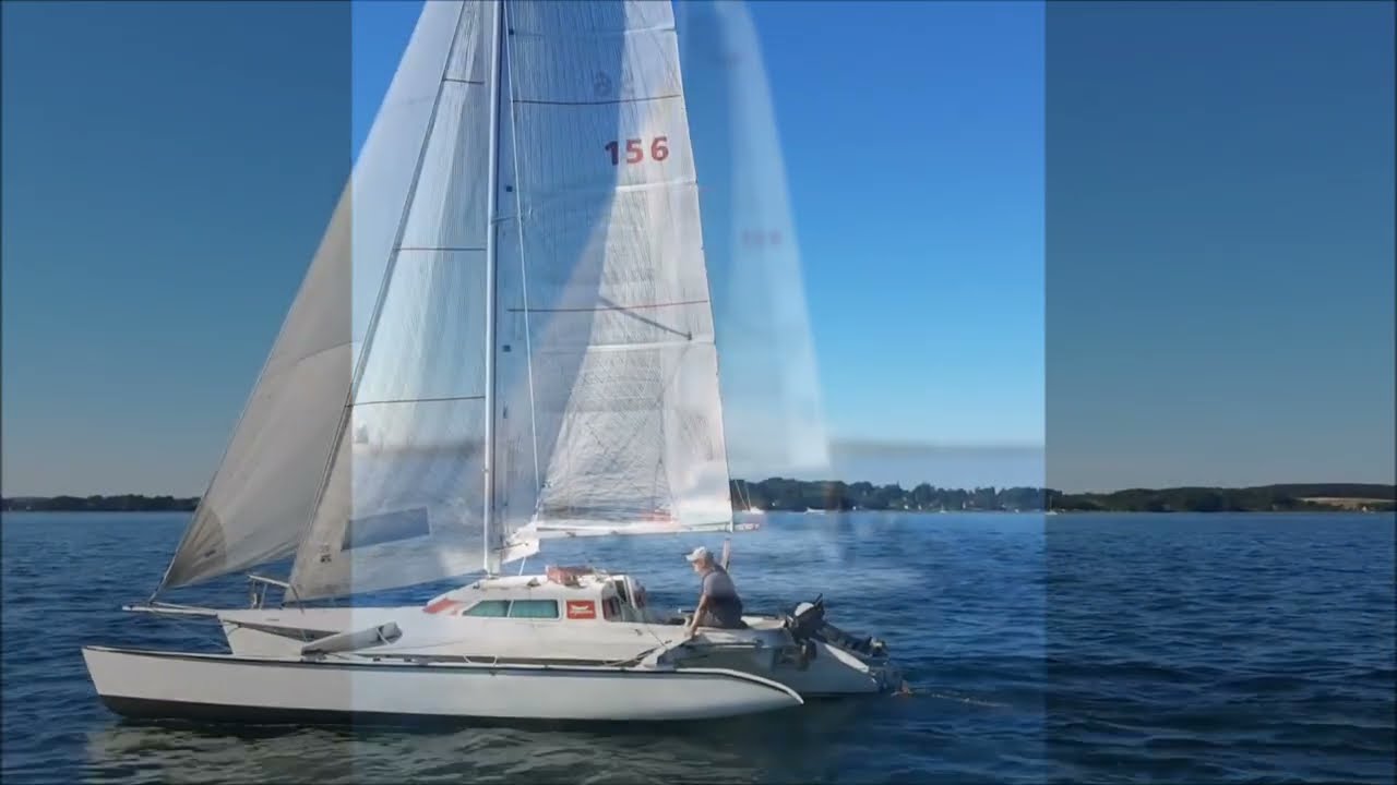 Dragonfly 800 swing wing for sale