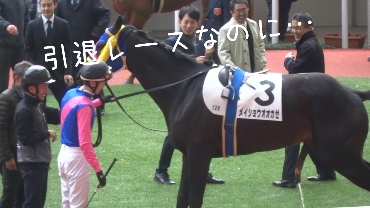 武豊と武幸四郎、騎手として最後のパドックが爆笑の展開に。現地映像。阪神競馬場