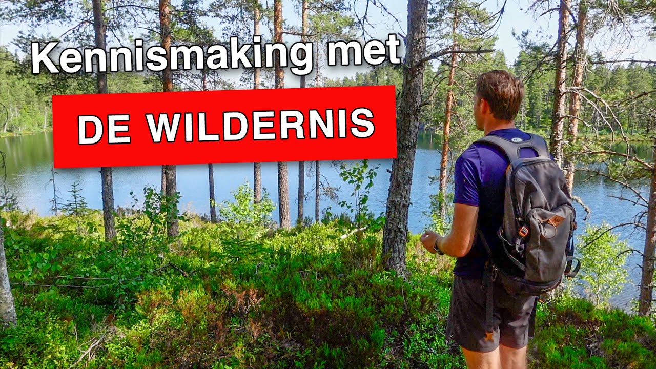 Een mini vakantie in de natuur van Zweden 2023