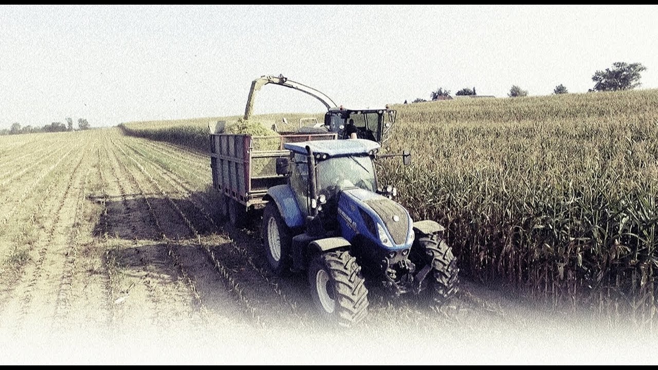 Kukurydza na kiszonkę z firmą sław-rol 2018 2xJaguar 7xNH xZTS xCase xLandini