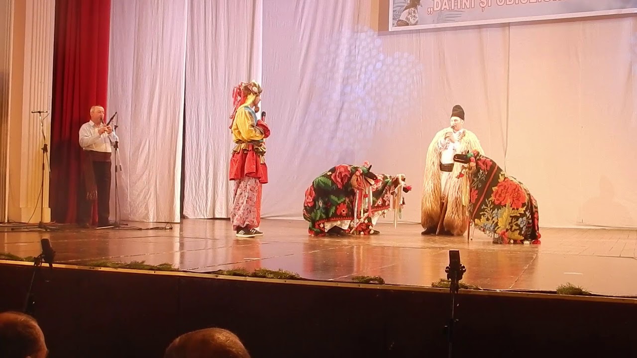 Berbecutii din Fantanele, Iasi