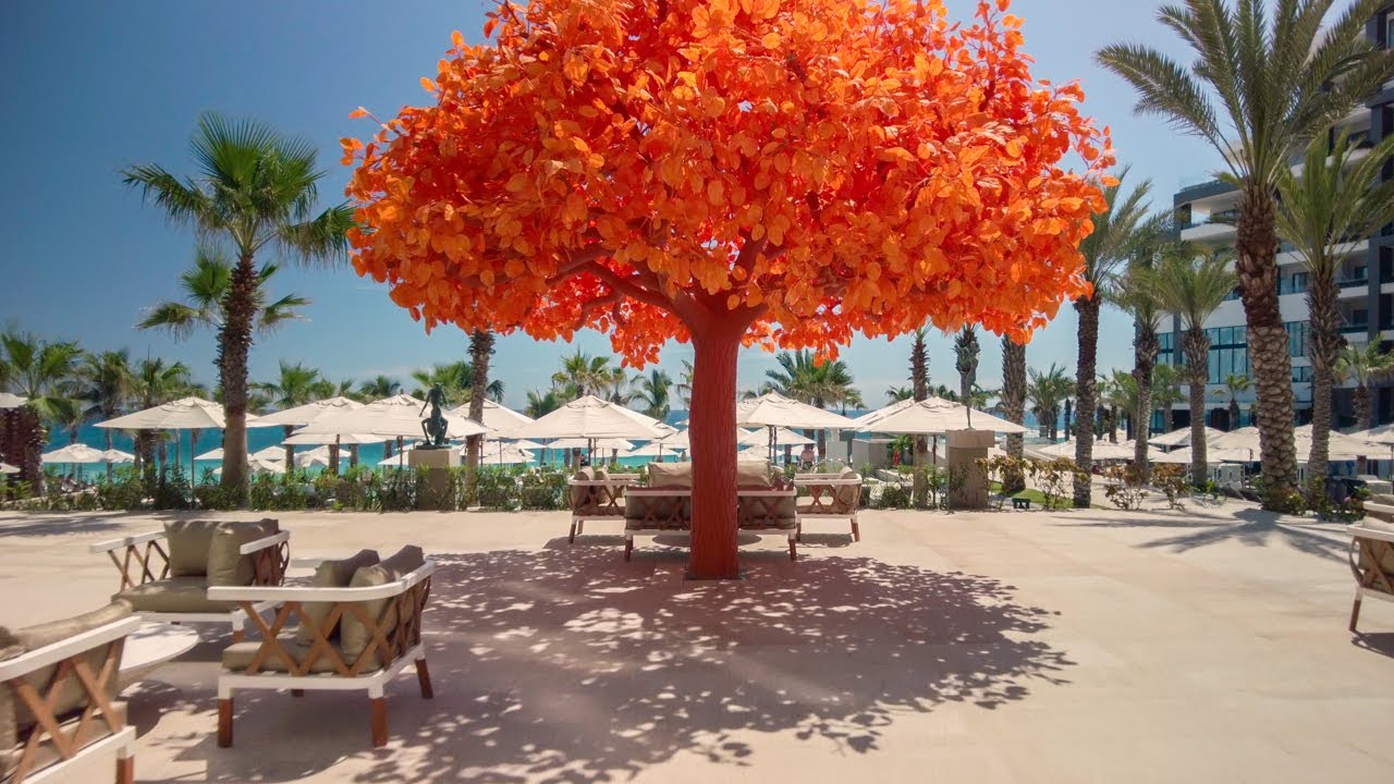 GARZA BLANCA LOS CABOS 🦢 | A lively beach resort | Los Cabos Walking Tour 4K