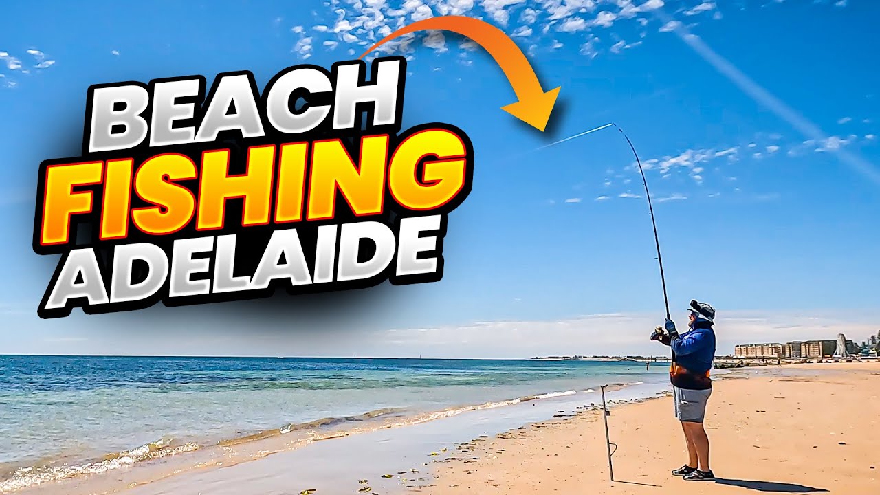 Adelaide's BEST KEPT SECRET for Beach Squid FISHING