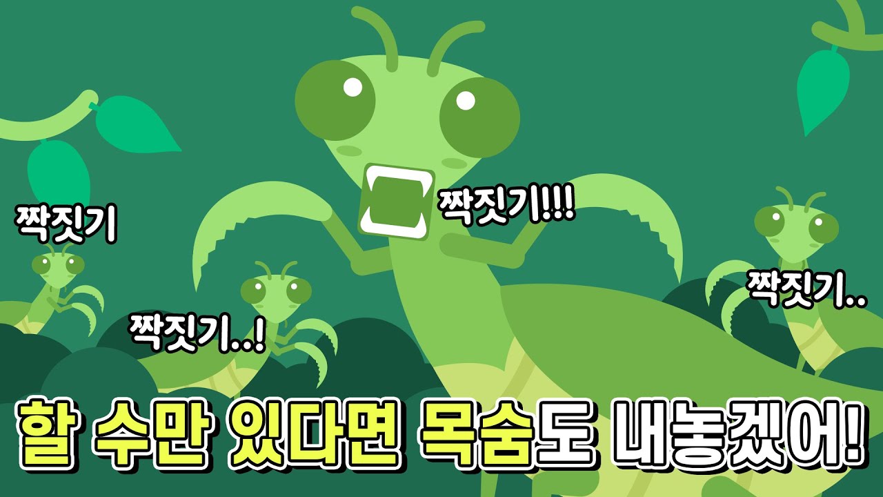 짝짓기를 하기 위해 목숨까지 거는 녀석