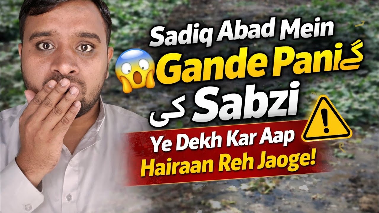 Sadiq Abad Mein Gande Pani Se Sabzi 😱 Ye Dekh Kar Aap Hairaan Reh Jaoge