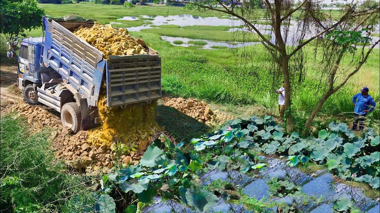 Start Incredible New Project Task!DumpTruck, Filling Land Delete Pond,Expert Dozer D20P Pushing Soil
