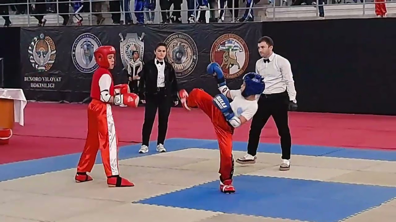 Кикбоксинг. Чемпионат области. 3-4.02.2024 🥈🥉
