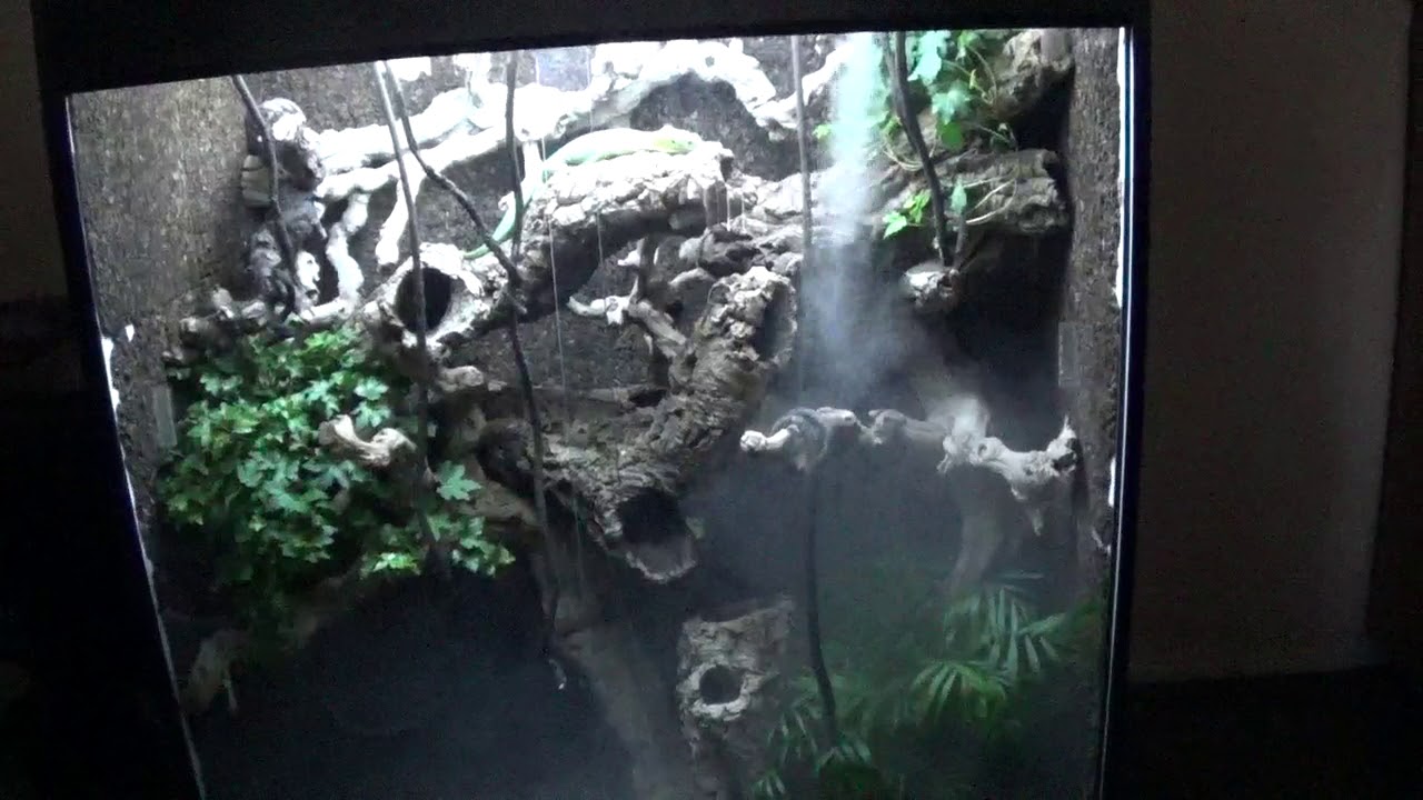 Green Tree Monitor Setup