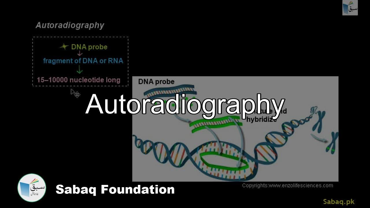 Autoradiography, Biology Lecture | Sabaq.pk