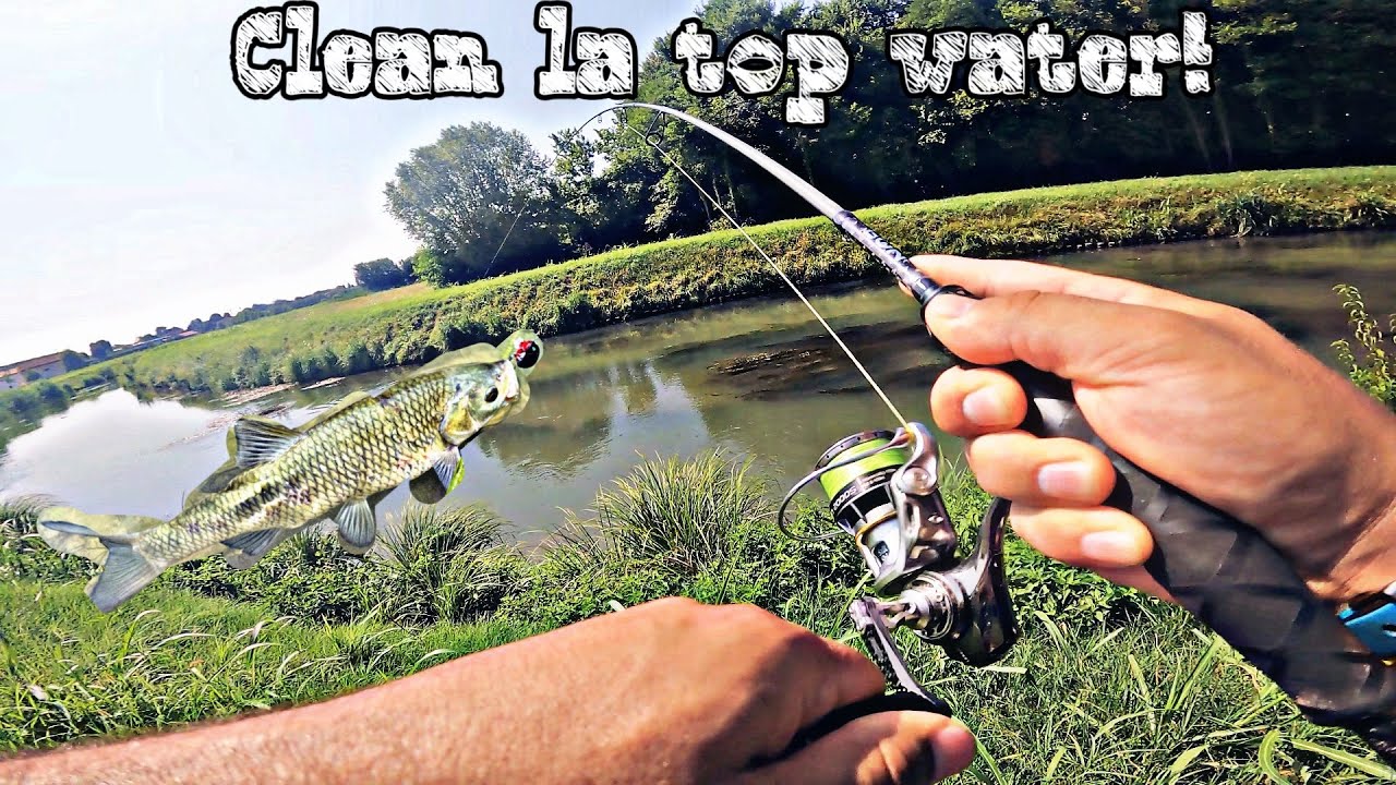 Am prins doar CLEAN mare la voblere de SUPRAFATA(Salmo Lil Bug) 🎣 am prins CLEAN dupa CLEAN 🎣