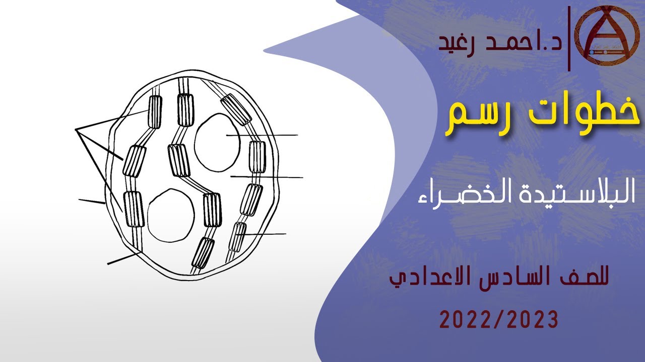 خطوات رسم البلاستيدة الخضراء بالتفصيل | 2021