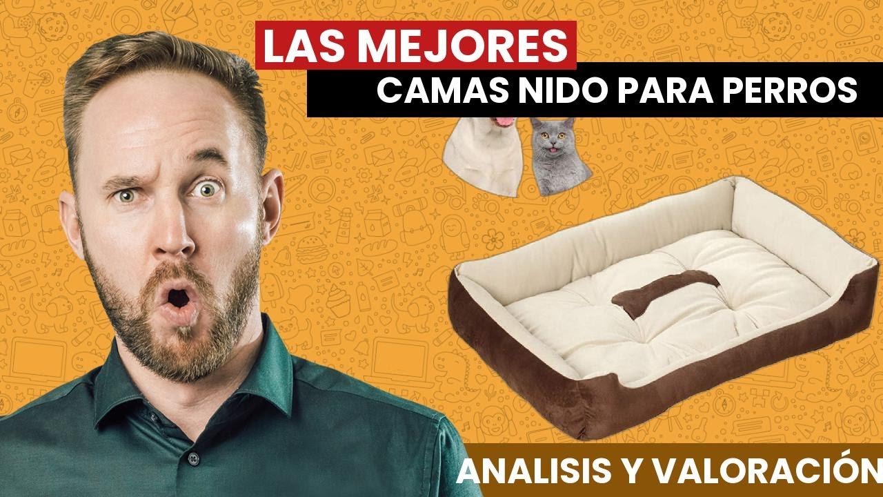 Las MEJORES Camas NIDO para PERROS y Gatos: TOP 4 de los mas VENDIDOS 2021