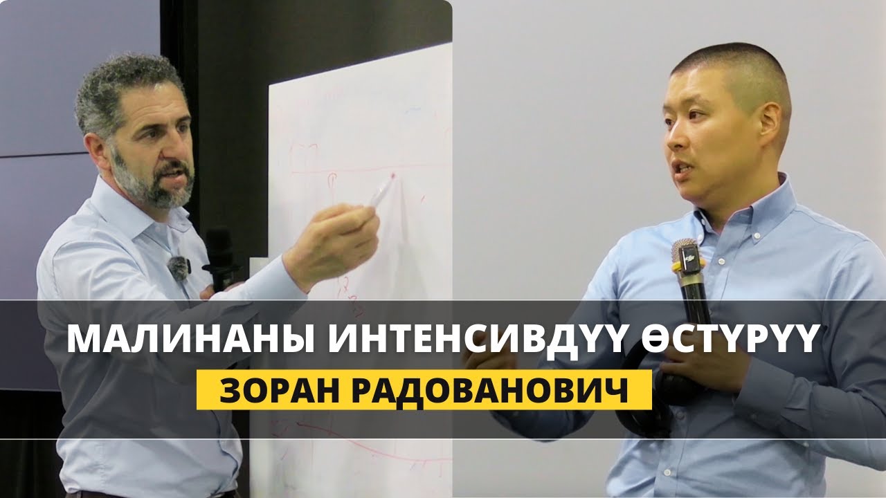 Кыргызстанда малинаны кантип өстүрүү керек? Ассоциациянын пландары кандай?