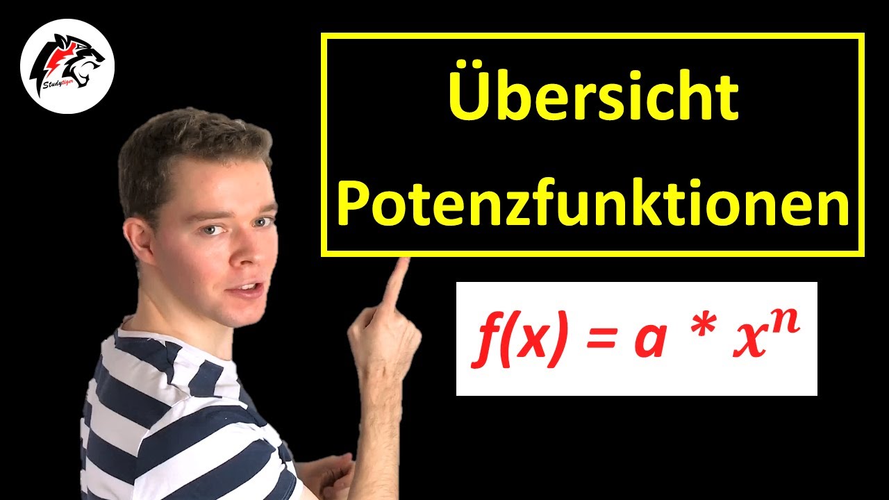 Übersicht POTENZFUNKTIONEN (Basis, Exponent, Symmetrie) | Mathe Tutorial