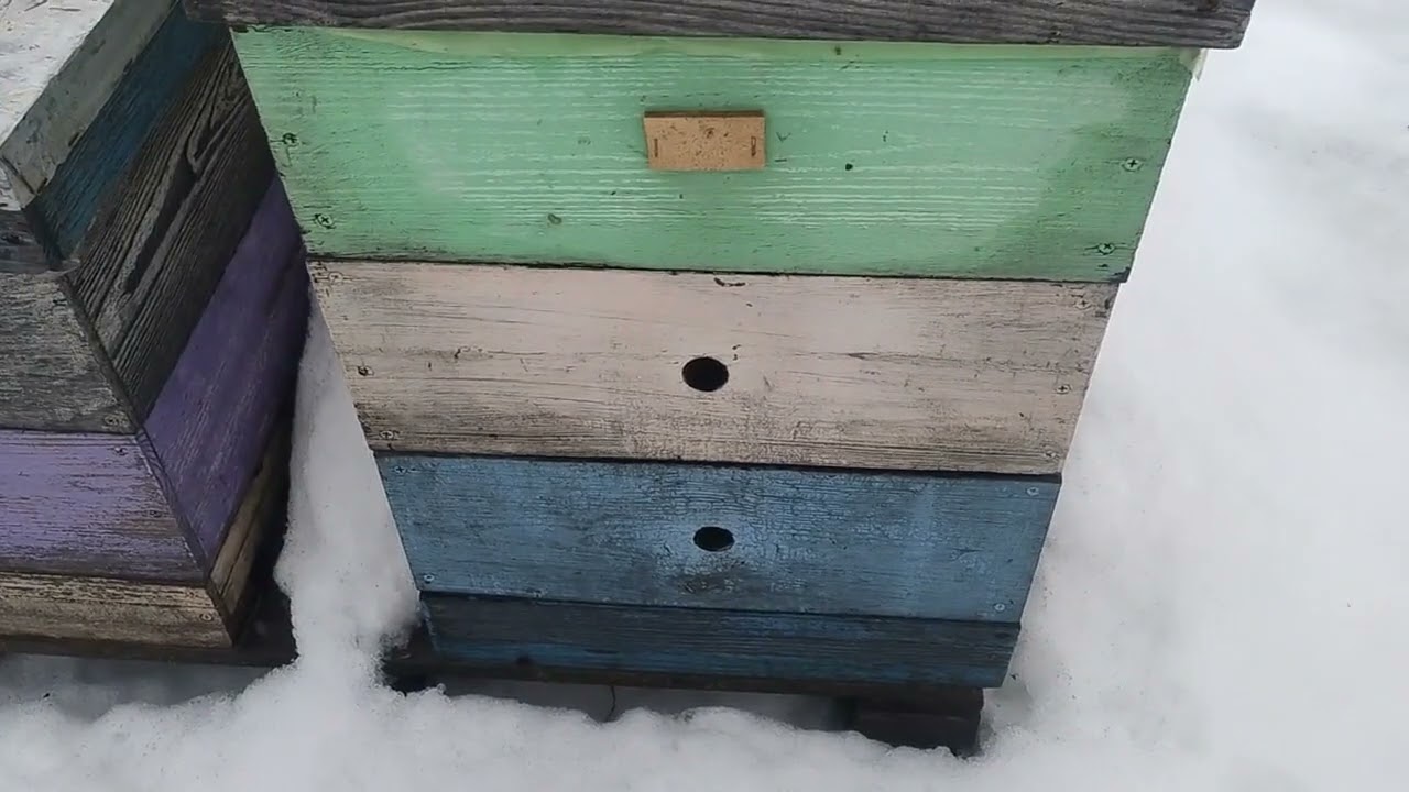 Швидкий огляг у відлигу. 29.01.26.
