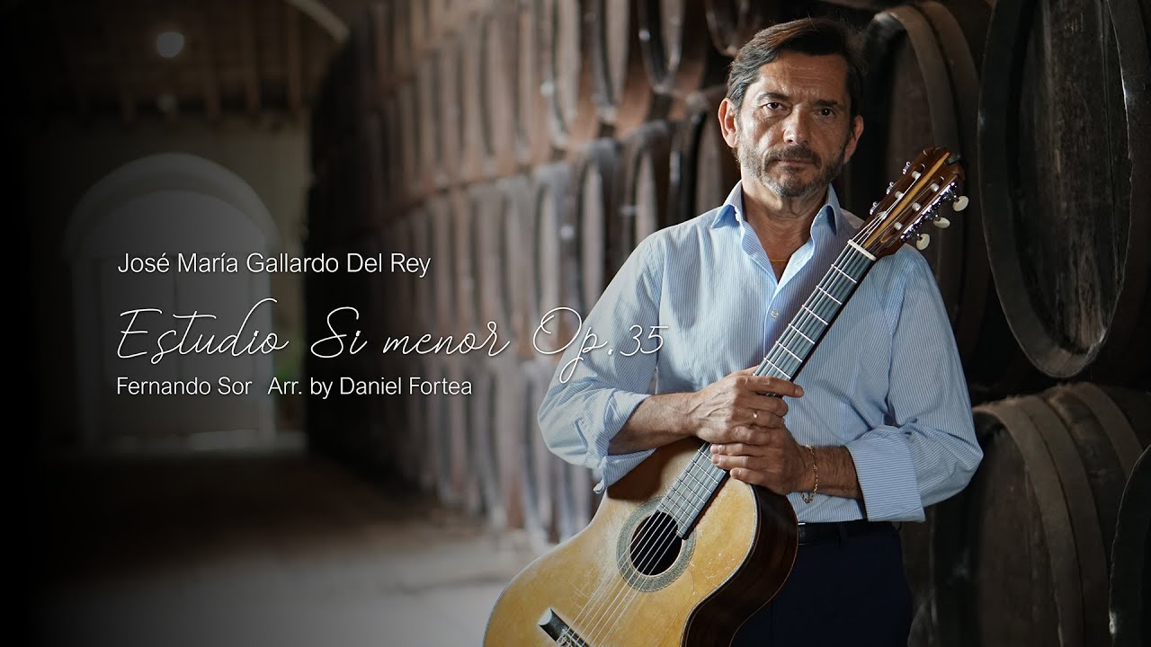 Estudio en Si menor Op.35 (F. Sor - D. Fortea) Duo guitar.