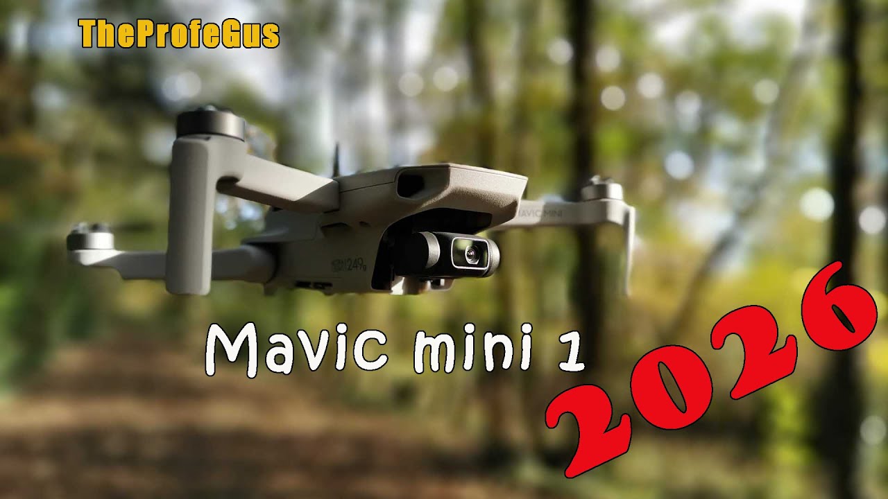 Mavic mini 1 en 2026 - Antenas Yagi y Booster