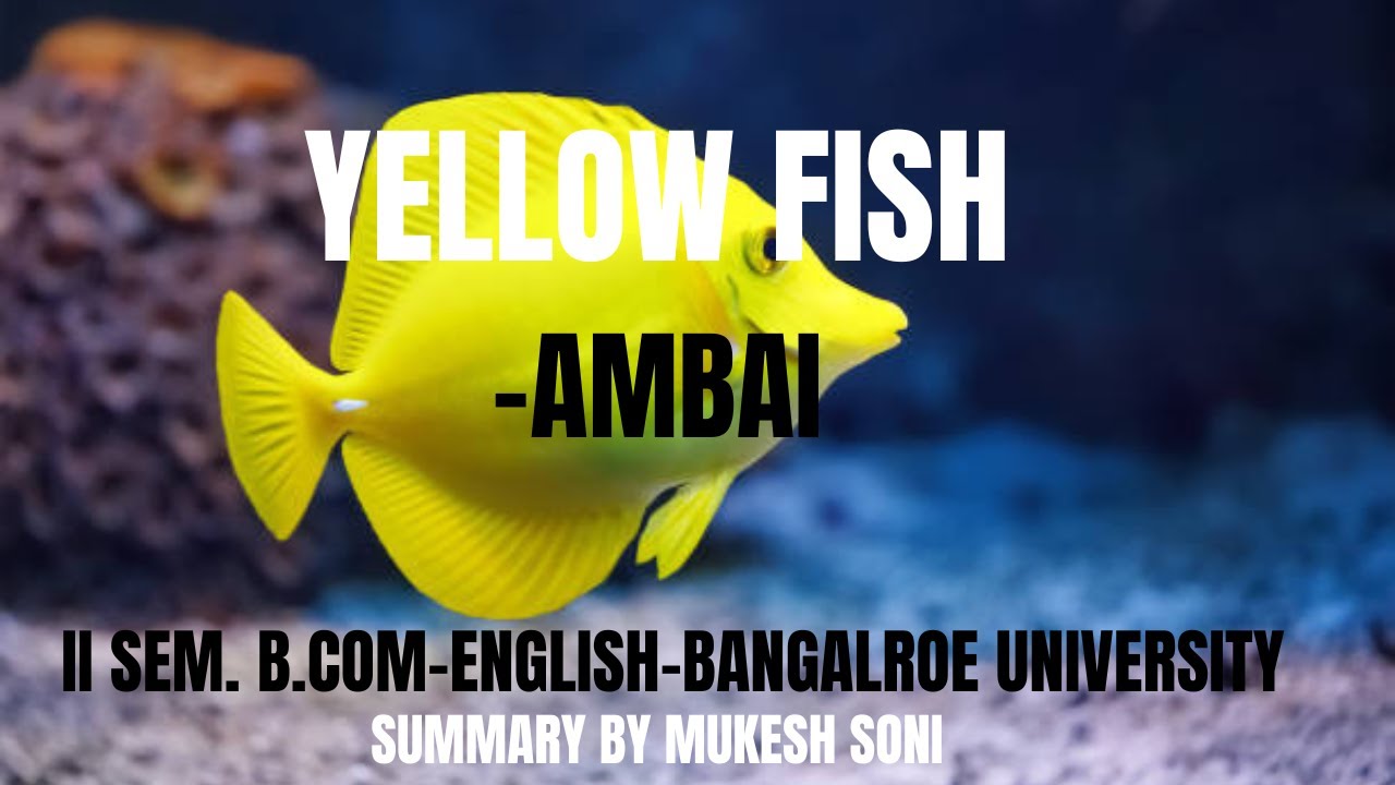 Yellow Fish story by C.S.Lakshmi (Ambai): Manjal Meen : BU 2nd Sem B.Com-General English