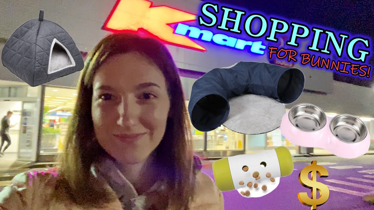 KMART VS PET SHOPS || THINGS YOU CAN BUY AT KMART FOR RABBITS!