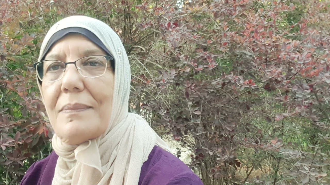 يا ام مسمار يا كذابة بختم النسر/ ادعوا للامة يا عالم /ام نيازي عبدة الدولار يا ناس