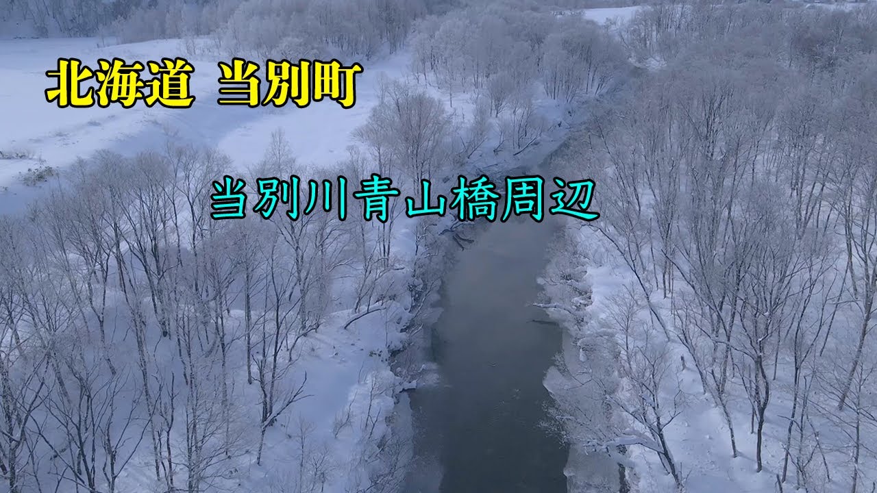 2026 1 24 当別町 当別川青山橋周辺