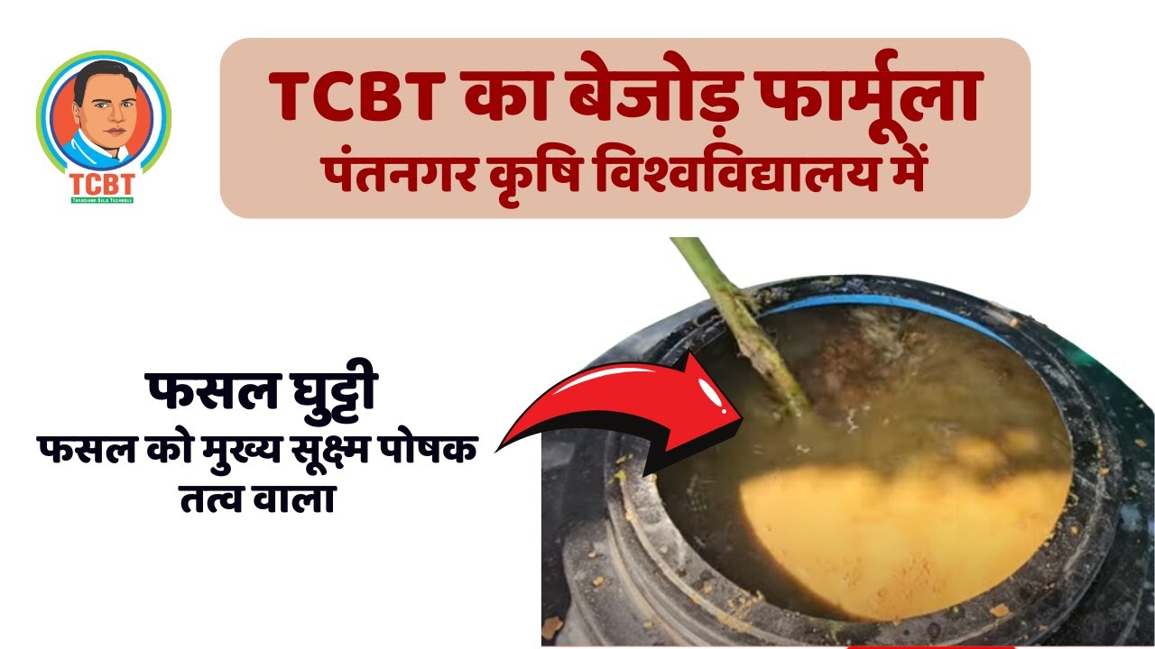 #fasalghutti #tcbt का शक्तिशाली जैविक फॉर्मूला, पंतनगर कृषि विश्वविद्यालय की परख में साबित