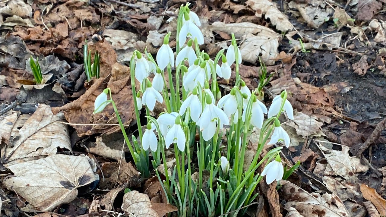Spring Refresh Incoming 
