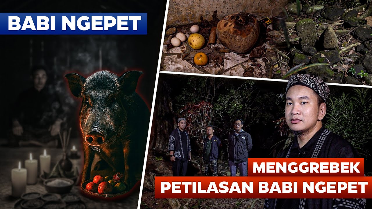 GREBEK PETILASAN BABI NGEPET