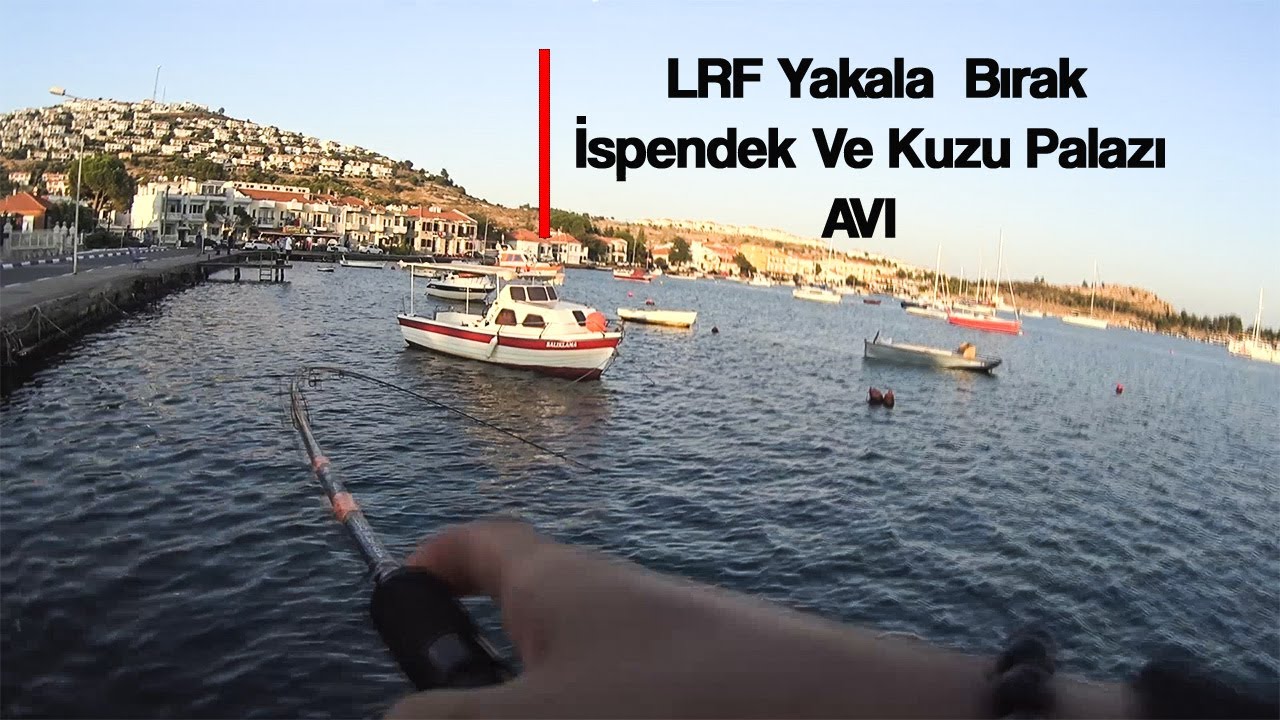 Fo&ccedil;a LRF yakala bırak ispendek ve kuzu palazı avı / lrf seabass and amberjack fishing