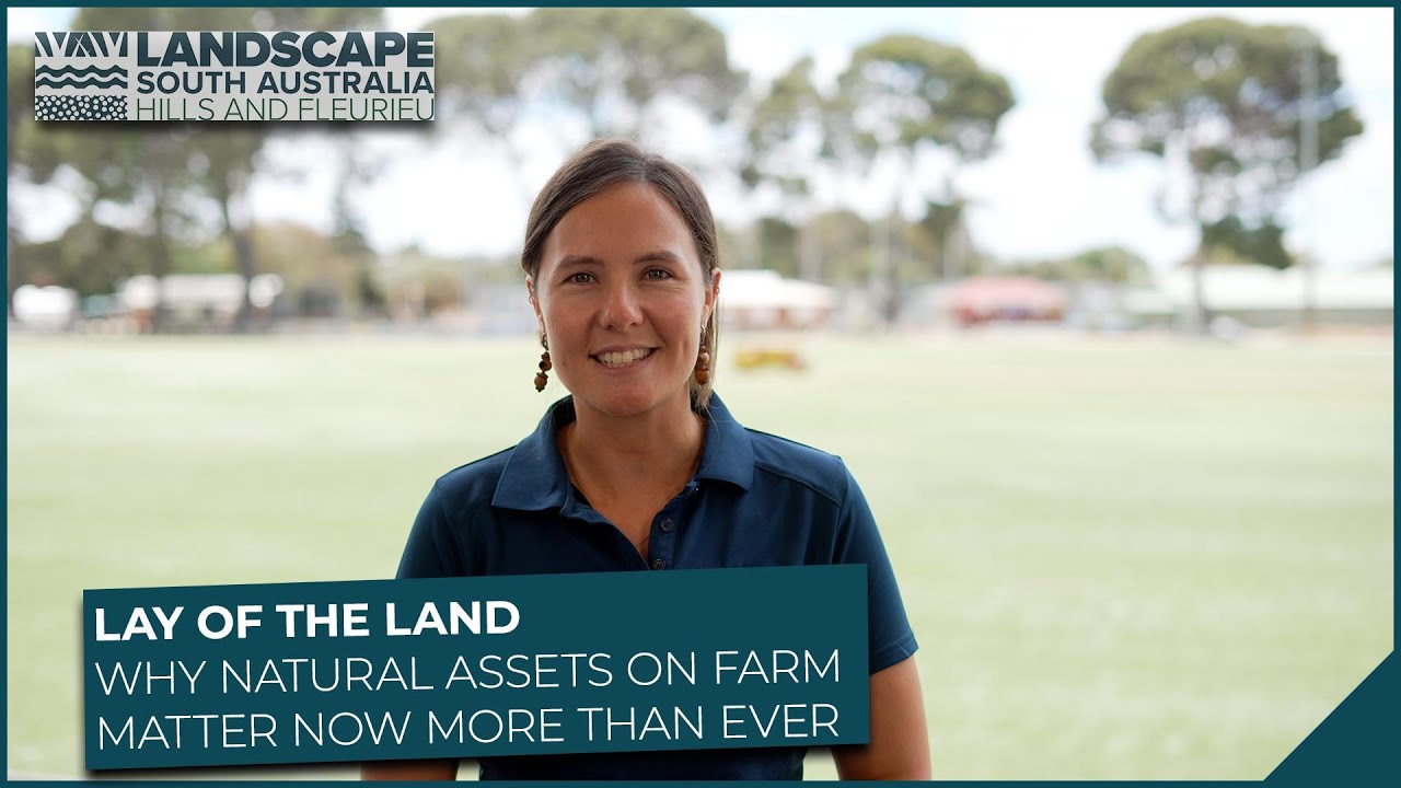 Lay of the Land - Why natural assets on farm matter now more than ever