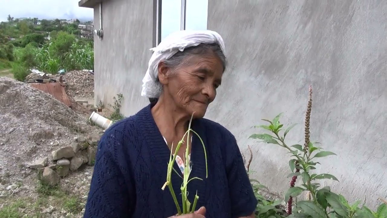 Jabón de Camote